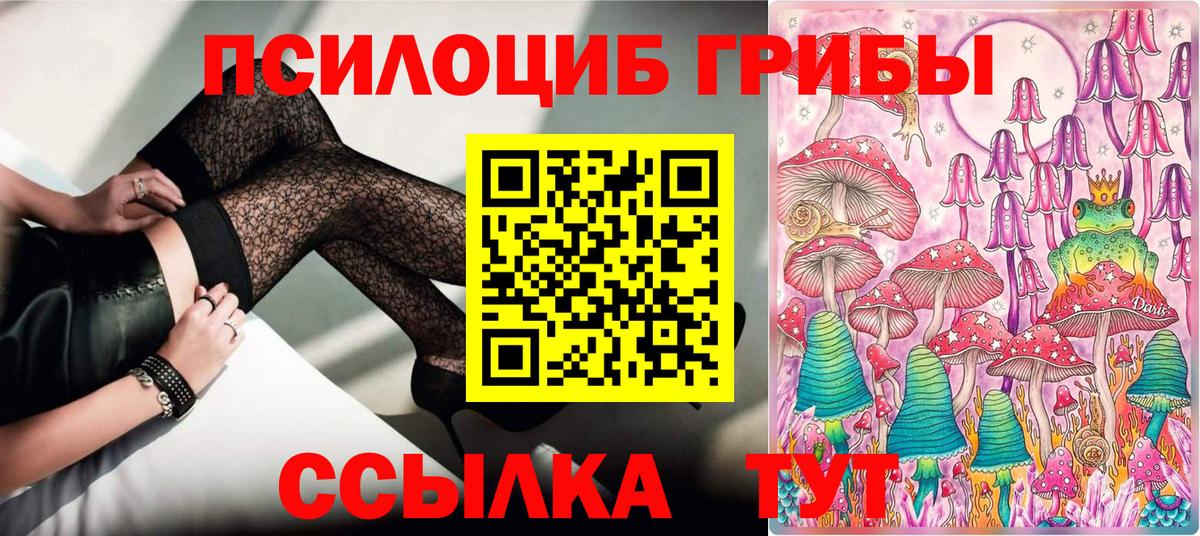 Галлюциногенные грибы Cubensis Дзержинск