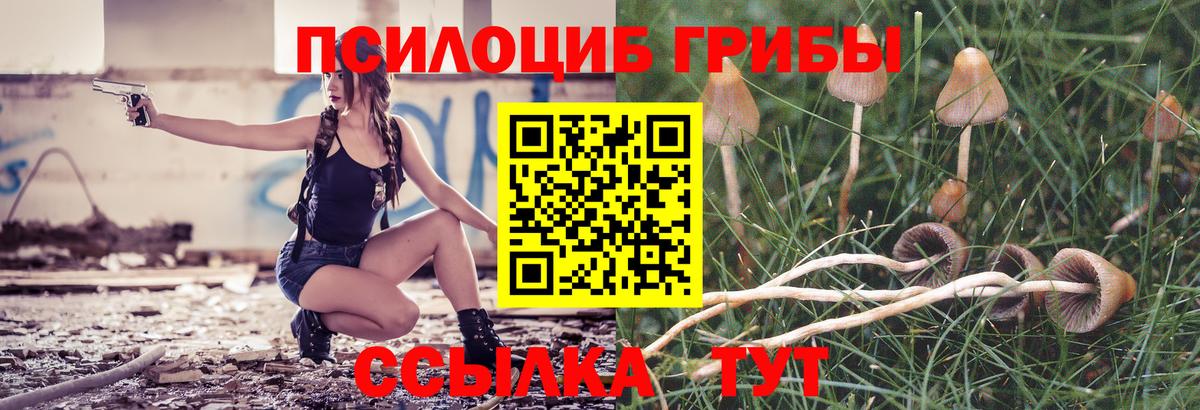 Псилоцибиновые грибы Magic Shrooms  Вход с VPN  Псилоцибиновые грибы Psilocybine cubensis  Дзержинск 