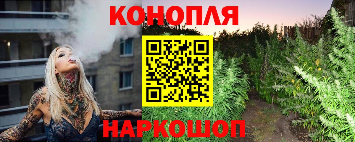 Бошки Шишки ГИДРОПОН Дзержинск